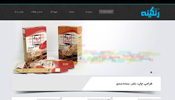 طراحی وب سایت گروه تبلیغاتی رنگینه